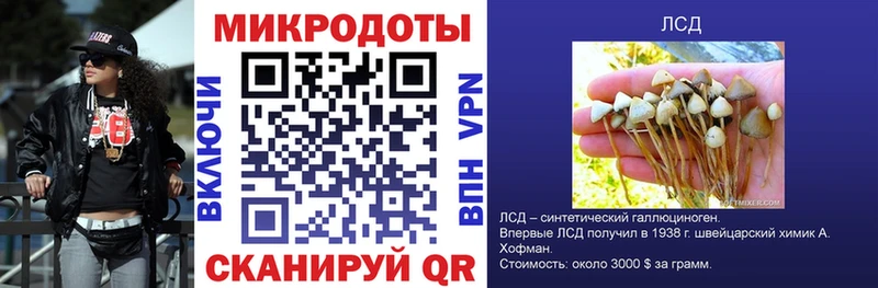 гидра вход  Горно-Алтайск  Галлюциногенные грибы прущие грибы 